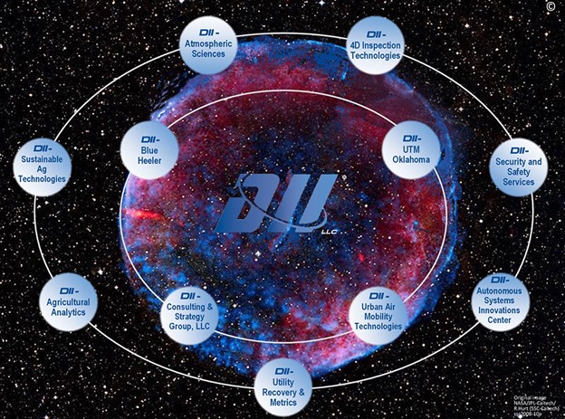 DII LLC Structure